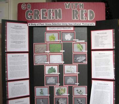 Plants Science Fair Projects | Good Science Project Ideas