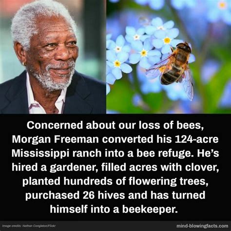 50 “Mind-Blowing Facts” Shared On This Instagram Page | Bored Panda