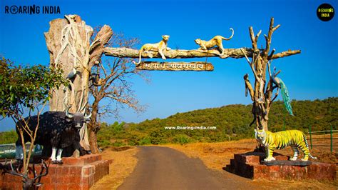 Chandoli National Park, Warana Dam, Maharashtra - Roaring India Tourism