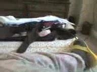 Otra Abuela Rica Mature Mature Porn XHamster