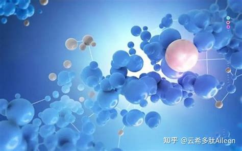 Epitalon 埃皮塔隆 307297 39 8多肽定制合成 知乎