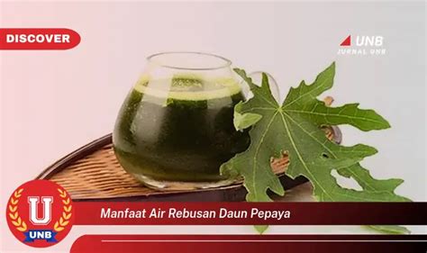 Ketahui Manfaat Air Rebusan Daun Pepaya Yang Jarang Diketahui