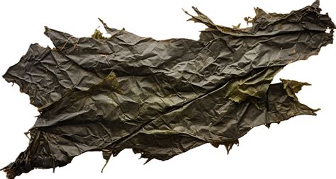 Ai Generated Sheet Of Dried Seaweed Png Png