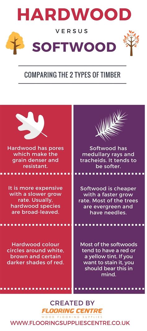 Differences Between Softwood and Hardwood Trees | Flooring Centre