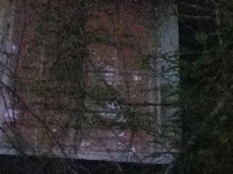 What do you see in this photo? : r/Paranormal_Evidence