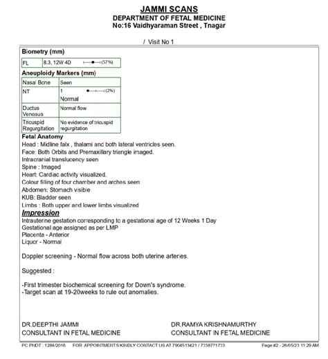 Nt Scan Report Sample Normal Vs Abnormal Reports Explained 2023