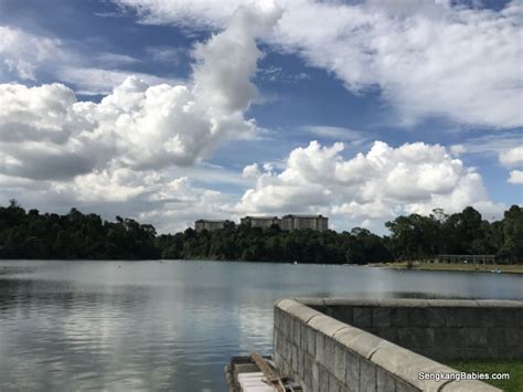 macritchie reservoir trail map Archives - Sengkang Babies