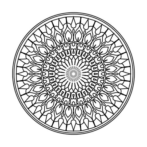 premium vector intricate mandala designs  elegant patterns