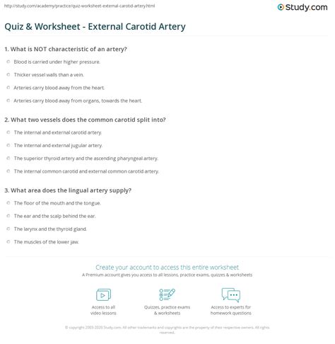 Quiz And Worksheet External Carotid Artery