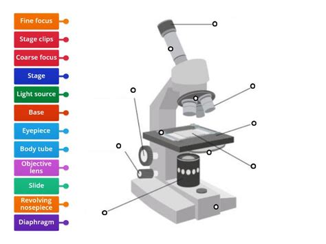 Parts of a Light Microscope - Labelled diagram