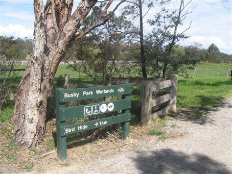 Tracks Trails And Coasts Near Melbourne Bushy Park Wetlands Melbourne