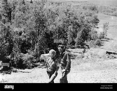 El Título De La Película Original Ganado Reina De Montana Título En