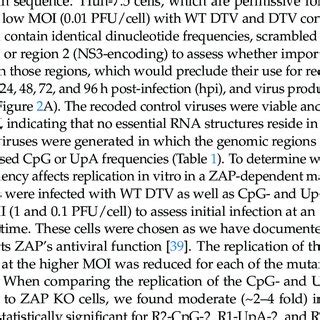 Cpg And Upa Dinucleotide Composition In Recoded Regions Of Dtv