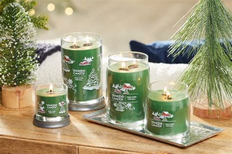 12 Best Christmas Tree Candle Scents For The Holiday