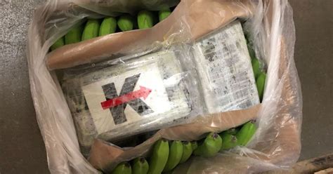 Bio-Bananen mit Kokain-Beimischung: 1,2 Tonnen Koks in Brandenburg entdeckt
