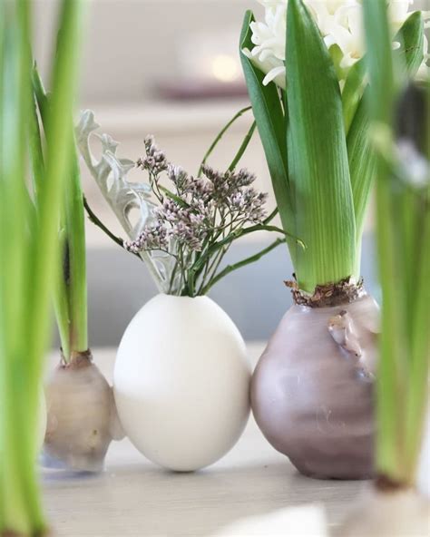 Diy Osterkranz Aus Eierschalen Und Gewachsten Hyazinthen