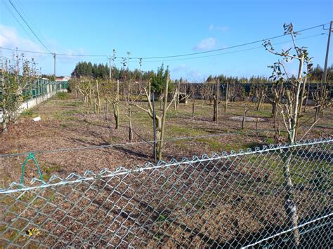 Haus In Caldas Da Rainha Distrikt Leiria Zu Verkaufen