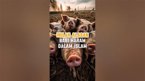 Penyebab Babi Haram Untuk Umat Islam Explore Youtube