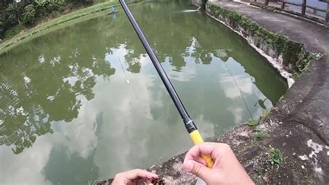 Basic Whip Fishing At Krishnaan Pond Youtube