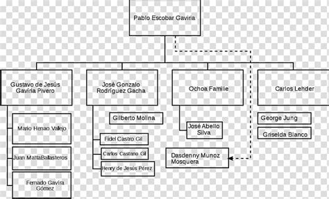 Medellin Cartel Structure