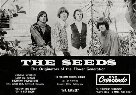 The Seeds Advertise 1966 Music Sites 1960s Music Garage Band