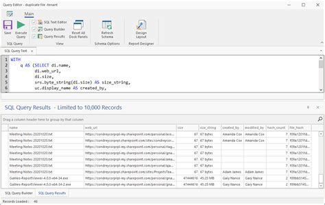 Custom Query Reports Micro Focus File Reporter 4 0 Administration Guide