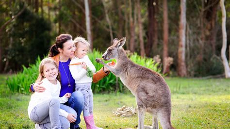 Australia Zoo Tickets | GetYourGuide