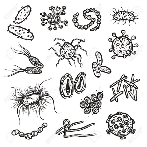 Virus Drawing at GetDrawings | Free download