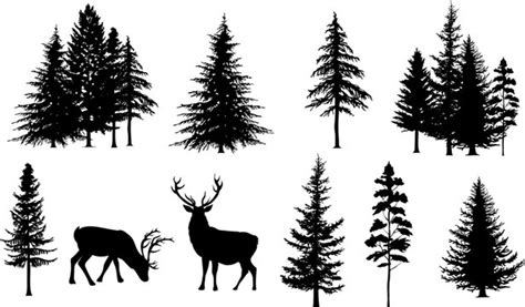 Fir Tree Silhouette Images – Browse 128,255 Stock Photos, Vectors, and ...