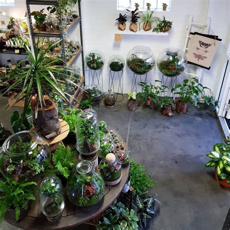 On Instagram Open Sat Am Pm Terrariums