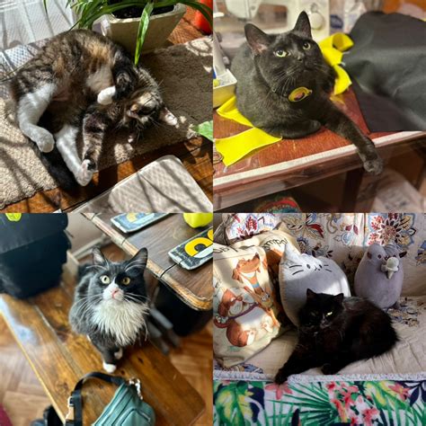 Комки | Пикабу