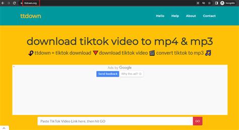 21 Best TikTok HD Video Downloader – TechCult