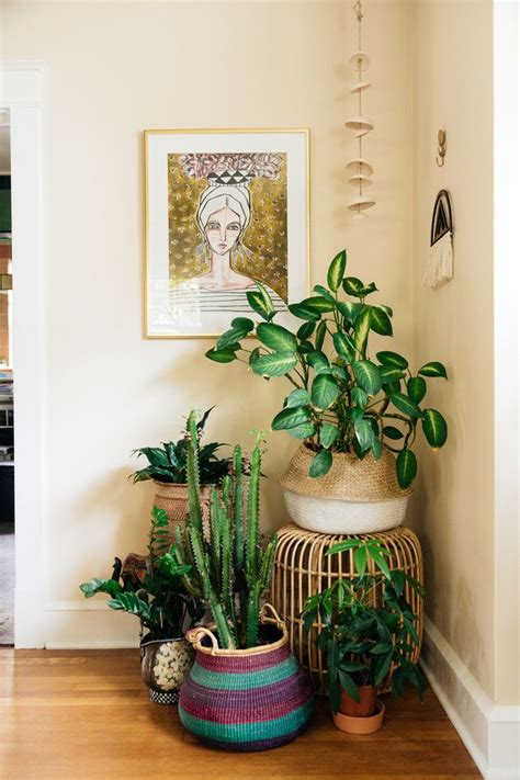 My Houzz Houseplant Happy In A Boho Style D C Home Eclectic