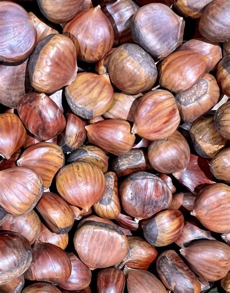 Benefits Of Chestnuts For Skin A Nutrient Rich Approach Mudmasky Us