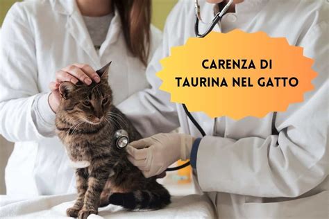 Sintomi Cause Diagnosi E Trattamento Stranotizie It