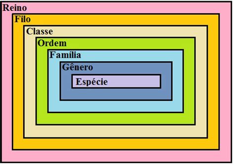 Classificaçao Biologica - Classificação biológica - Brasil Escola