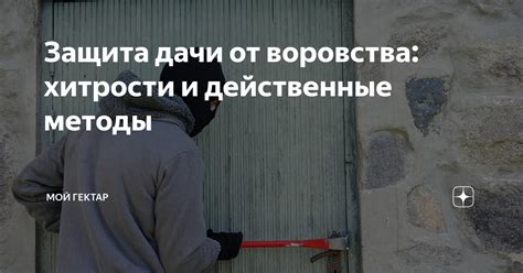 Защита дачи от воровства: хитрости и действенные методы | Мой гектар | Дзен