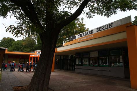 Tierpark Berlin mit trauriger Nachricht Tierfreunde müssen ganz stark