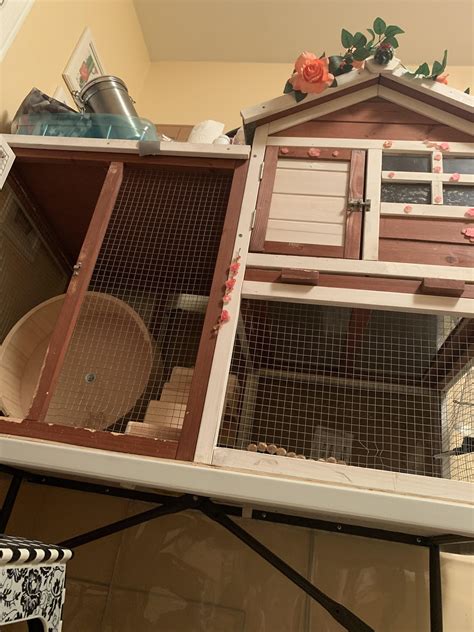 My chinchilla has been in her same cage for the last 5 years I want to