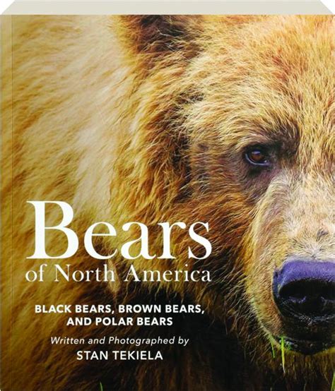 BEARS OF NORTH AMERICA: Black Bears, Brown Bears, and Polar Bears ...