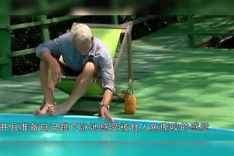 作死老外养150条食人鱼 将它们饿6天后自己跳下去，结果不忍直视 天后 老外 结果