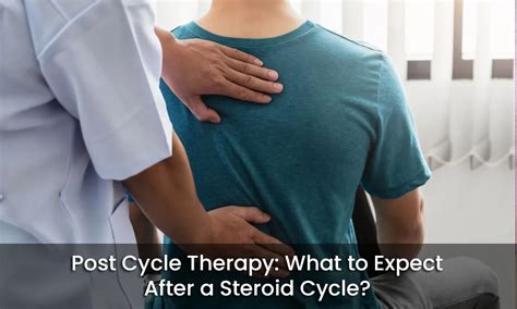 Post Cycle Therapy What To Expect After A Steroid Cycle Anti