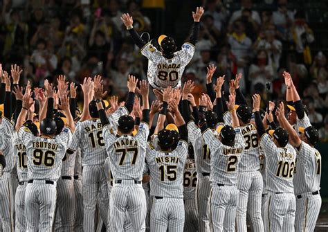 阪神タイガース 18年ぶりのリーグ優勝 岡田彰布監督歓喜の胴上げ [写真特集1 29] 毎日新聞