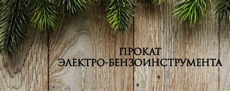 ПРОКАТ ЭЛЕКТРО-БЕНЗОИНСТРУМЕНТА | В нашем сообществе можно будет взять ...