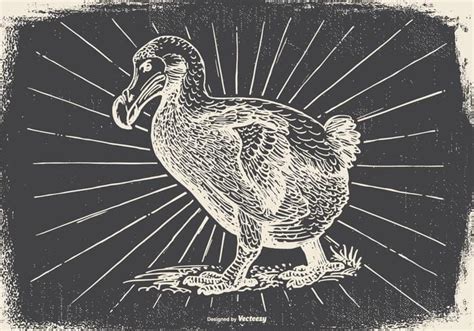 Vintage Dodo Bird Illustration Eps Svg Ai Vector Uidownload