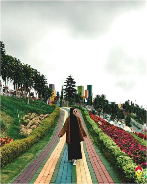 Taman Bunga Celosia Tempat Wisata Ngehits Dan Instagenik Di Semarang