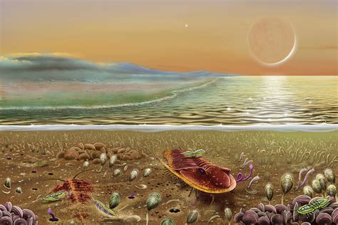 Cambrian Sea by dinoved on DeviantArt