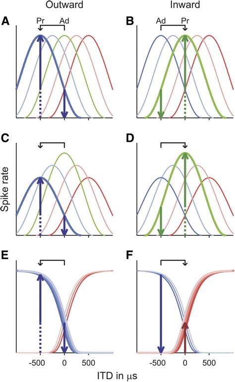 Schematic Representation Of Neural Interaural Time Difference Itd