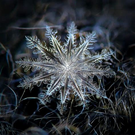 Alexey Kljatov Captures Snowflakes in Unique Photography