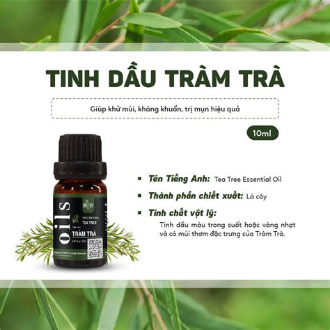 Tinh Dầu Tràm Trà Nguyên Chất 100% - Chai 10ml, 30ml, 100ml